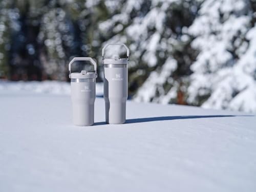 Stanley IceFlow Flip Straw Tumbler with Handle 20 oz | Twist On Lid and Flip Up Straw | Leak Resistant Water Bottle | Insulated Stainless Steel |BPA-Free | Ash