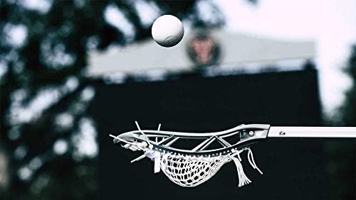 Signature Lacrosse Ball Set - Packs of 2, 4, 8, 12, and 120 - No Chemical Smell Massage Balls, Myofascial Release Tools, Back Roller, Muscle Knot Remover