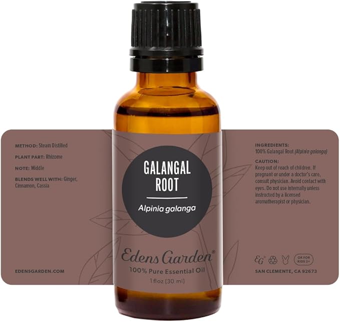 Edens Garden Galangal Root Essential Oil- 100% Pure Premium Grade, Undiluted, Natural, Therapeutic, Aromatherapy, The Best for Diffuser, Candle, Laundry, Humidifiers 30 ml (1 fl oz)