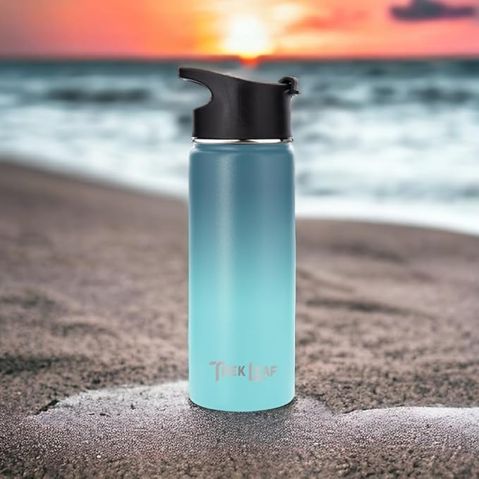 Travel Water Bottle with 3 Lids (Spout, Straw, Flip) Leak Proof, Quality, Vacuum Insulated, Stainless Steel (Storm Cloud, 18 oz)