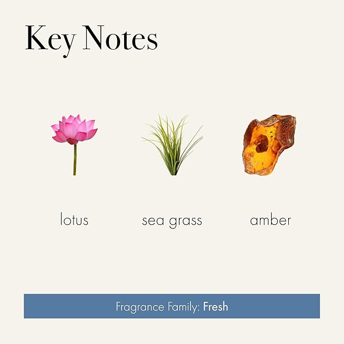 LAFCO New York Reed Diffuser Refill, Sea & Dune - 8.4 oz - Up to 4-Month Fragrance Life - Includes Natural Wood Reeds - Free of Dyes & Propellants - Made in The USA