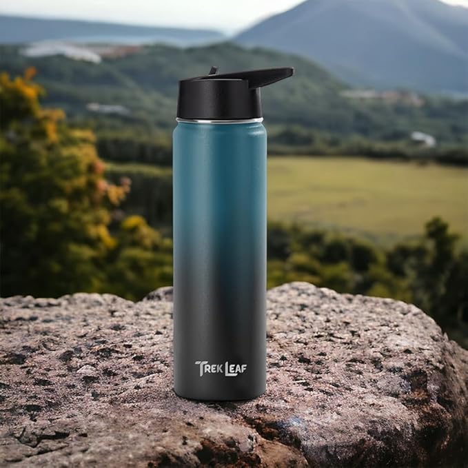 Travel Water Bottle with 3 Lids (Spout, Straw, Flip) Leak Proof, Quality, Vacuum Insulated, Stainless Steel (Cascade Shadow, 22 oz)