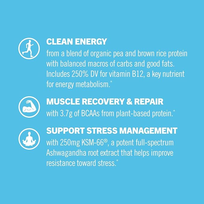 OM MUSHROOM SUPERFOOD Master Blend Mushrooms & Adaptogens, Creamy Vanilla Plant Protein, Single Serve, 10 Count, 10 Mushroom Complex, Lion's Mane, Ashwagandha, Stress Relief, GLP-1 Support