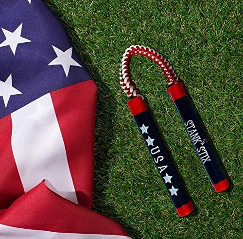 Glovestix StankStix Shoe Deodorizer Shoe Odor Eliminator, Formerly Called ShoeStix. Non-Toxic Odor Remover for Shoes, Boots, Smelly Gym Bags, Boxing, Lacrosse, Soccer & Hockey Gear