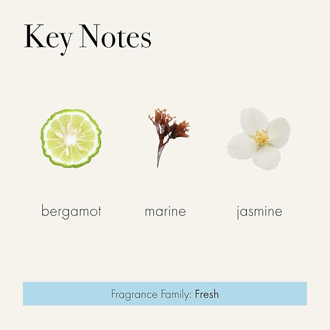 LAFCO New York Reed Diffuser Refill, Marine - 8.4 oz - Up to 4-Month Fragrance Life - Includes Natural Wood Reeds - Free of Dyes & Propellants - Made in The USA