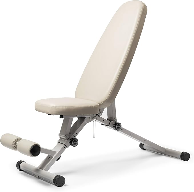 Fitness Bench, Adjustable, Collapsible, Comfortable, and Luxurious Home Gym Bench for Strength Training