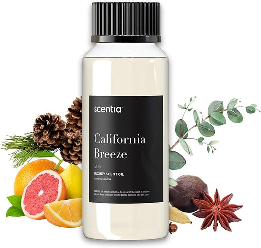 Hotel Diffuser Oil Inspired by The Delano Beach Club Hotel Scent - 120 mL 4.06 fl oz - Fragrance Oil Blend Orange, Green Tea & Jasmine for Aromatherapy Diffusers - California Breeze