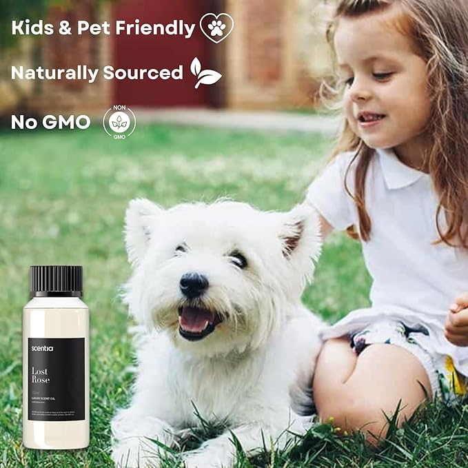 Hotel Diffuser Oil Inspired by Fairmont Hotel Scent - 120 mL 4.06 fl oz - Refill Diffuser Oil Blend Rose, Oud Wood & Clove Notes for Aromatherapy Diffusers - Lost Rose, Mothers Day Gift