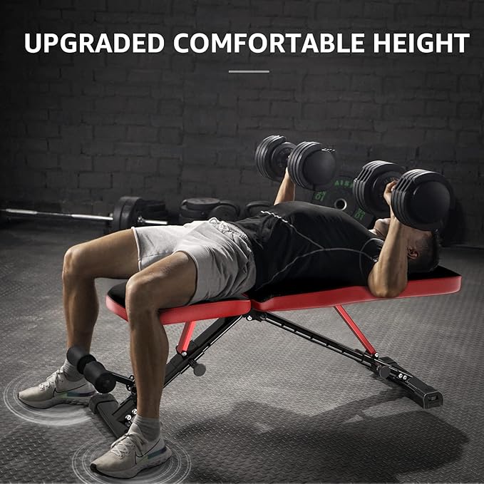 FLYBIRD Strength Training Bench for Home Gym, Adjustable Weight Bench can be Folded for Storage/Vertical Storage, Space-Saving Workout Bench