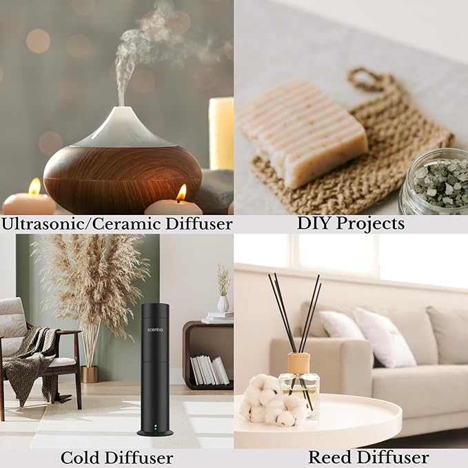 Scentia Hotel My Way Diffuser Oil Inspired by The 1 Hotel MiamiBeach - 120 ml 4.06 fl oz - Fragrance Oil Blend Sandalwood, Cedar & Lemon Notes for Aromatherapy Diffusers and Humidifiers