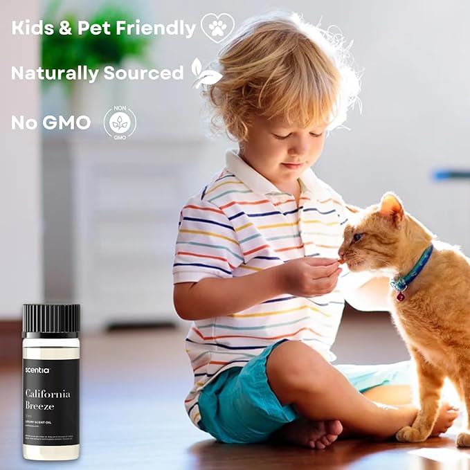 Scentia Hotel Diffuser Oil Inspired by The Delano Beach Club Hotel Scent - 50 mL 1.69 fl oz - Fragrance Oil Blend Orange, Green Tea & Jasmine for Aromatherapy Diffusers - California Breeze