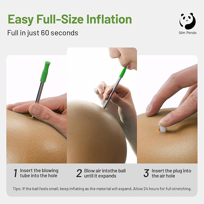 Slim Panda Pilates Ball, 9 Inch Small Exercise Ball, Anti Burst Mini Yoga Ball for Stability, Workout, Barre, Core Strength, Physical Therapy, Balance, Stretching