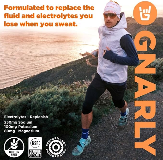 Gnarly Nutrition Hydrate Electrolyte Powder – Orange Pineapple Exercise Hydration Drink Mix – NSF Sport Certified – Electrolyte Solution, Performance & Recovery – Orange Pineapple, 14.10 oz