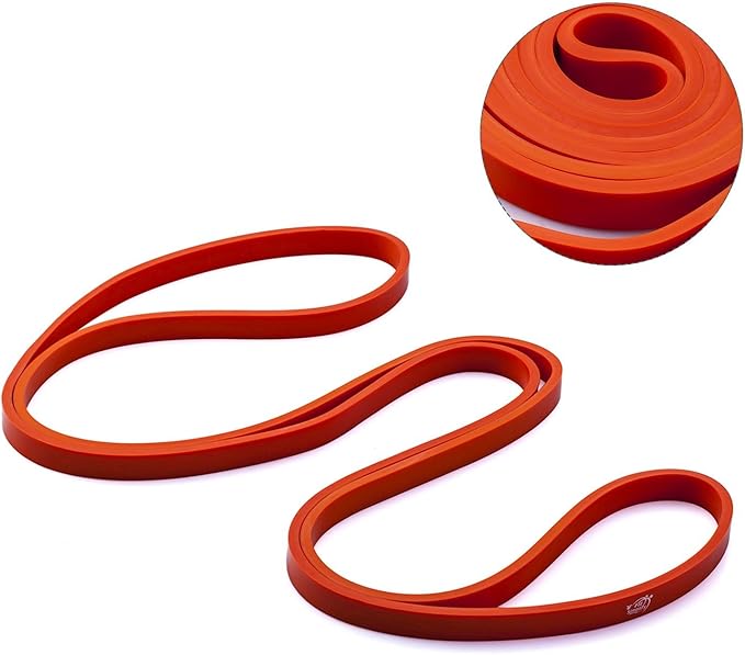 Fit Simplify Pull Up Assist Resistance Bands for Fitness, Physical Therapy, Stretching, Mobility and Exercise