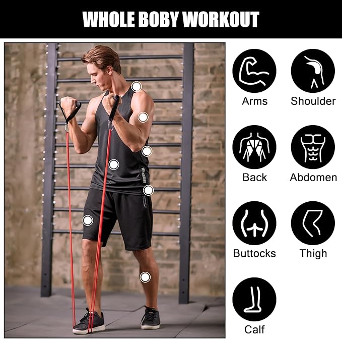 Odoland 5 Packs Pull Up Assist Bands, Pull Up Straps, Resistance Bands with Door Anchor and Handles, Stretch Mobility, Powerlifting and Extra Durable Exercise Bands with eGuide