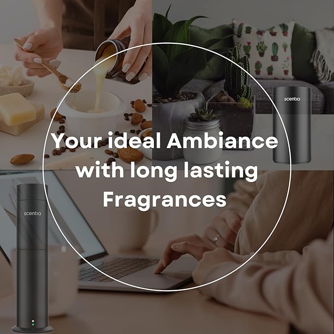 Hotel Diffuser Oil Inspired by The Delano Beach Club Hotel Scent - 120 mL 4.06 fl oz - Fragrance Oil Blend Orange, Green Tea & Jasmine for Aromatherapy Diffusers - California Breeze