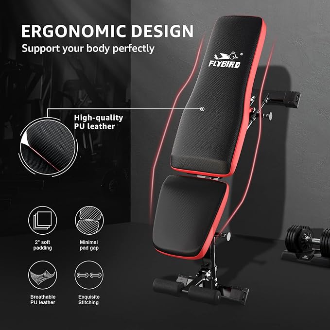 FLYBIRD Strength Training Bench for Home Gym, Adjustable Weight Bench can be Folded for Storage/Vertical Storage, Space-Saving Workout Bench