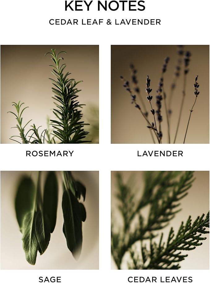 NEST New York Reed Diffuser, Cedar Leaf & Lavender - 5.9 fl oz - Fragrance for Up to 90 Days - Reusable, Refillable Glass Holder - Includes 8 All-Natural Reed Sticks - Flame Free