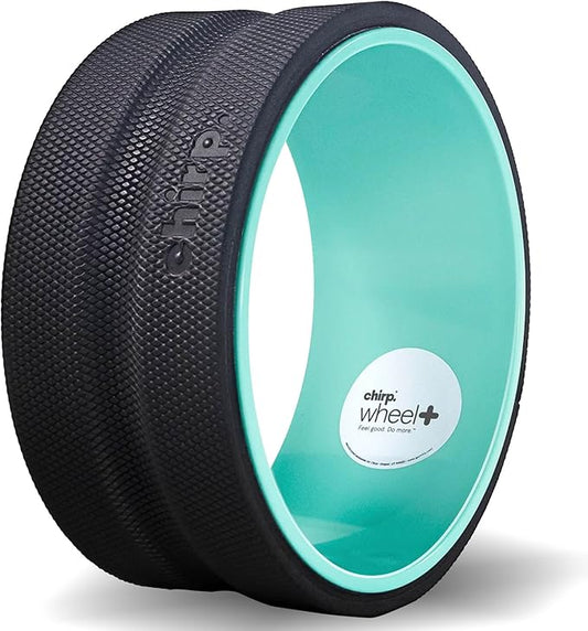 Chirp Wheel Foam Roller – Targeted Back & Neck Relief, Lumbar Spine Stretcher, Spinal Decompression Back Stretcher, Massage Roller with Density Foam for Physical Therapy, Supports 500lbs, 10-Inch Mint