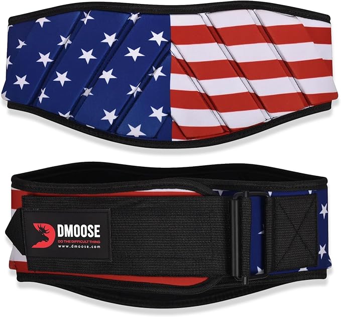 DMoose Fitness Weight Lifting Belt for Squats, Deadlift & Intense Workout - 6" Adjustable Fit Auto Lock Weightlifting Belt for Men & Women - Neoprene Gym Belts for Stability & Lumbar Back Support