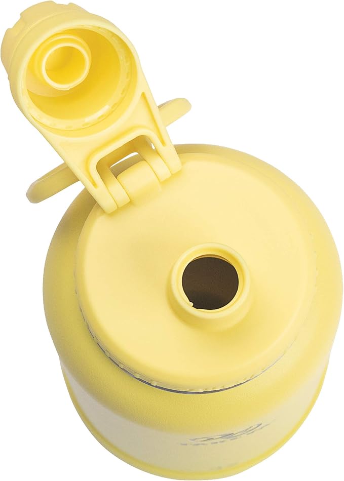 Takeya Actives Water Bottle with Spout Lid - Bottle with Double Stainless Steel Insulation - Dishwasher Safe & BPA-Free - Bottle with Spout Lid & Removable Bumper - 18 oz, Canary