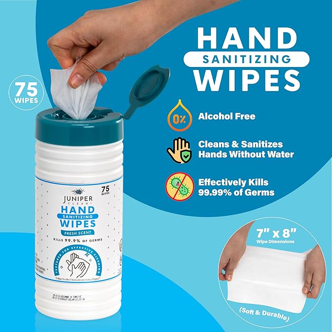 1 Pack Hand Sanitizing Wipes, Alcohol Free 75 Count Canister Disposable Hand Sanitizer Wipes, Fresh Scent, Lint Free & Durable