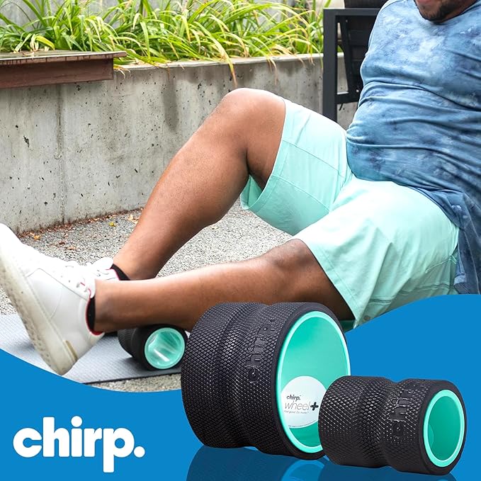 Chirp Wheel Foam Roller – Targeted Back & Neck Relief, Lumbar Spine Stretcher, Spinal Decompression Back Stretcher, Massage Roller with Density Foam for Physical Therapy, Supports 500lbs, 2-Pack Mint