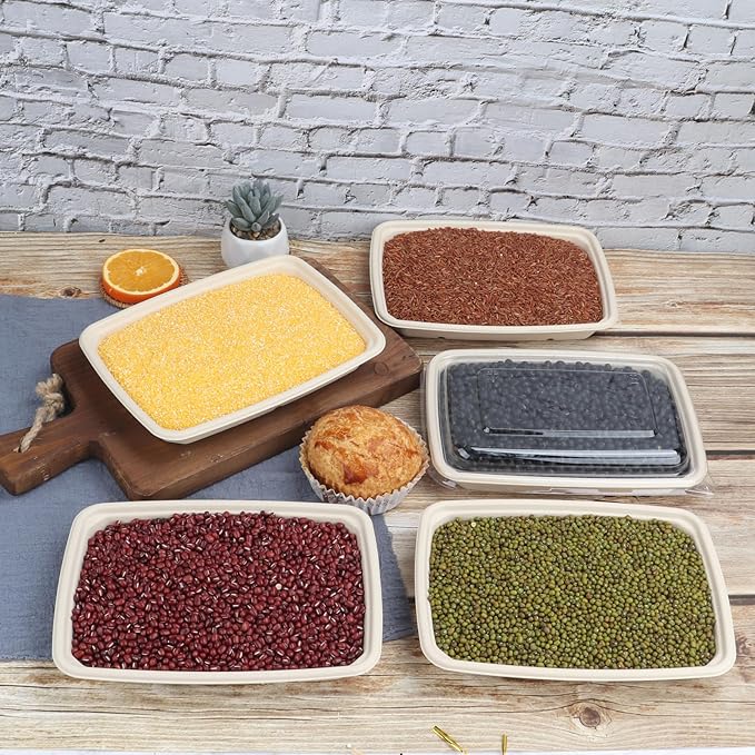 20 oz Rectangle Disposable bowls with lids,Sugarcane Fibers Bowls take away food containers Plant Fibers Freezer Safe 50 Pack