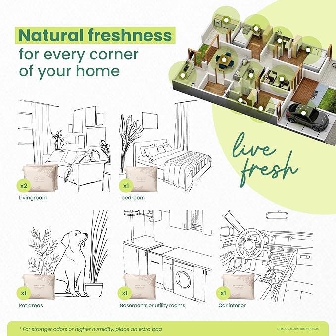 Roonin Charcoal Bags Odor Absorber - Activated Charcoal Bags For Cars - Bamboo Charcoal Air Purifying Bag - Odor Absorber For Home And Car (1-pack)