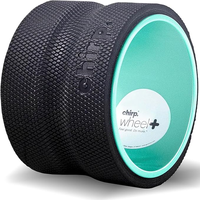 Chirp Wheel Foam Roller – Targeted Back & Neck Relief, Lumbar Spine Stretcher, Spinal Decompression Back Stretcher, Massage Roller with Density Foam for Physical Therapy, Supports 500lbs, 6-Inch Mint