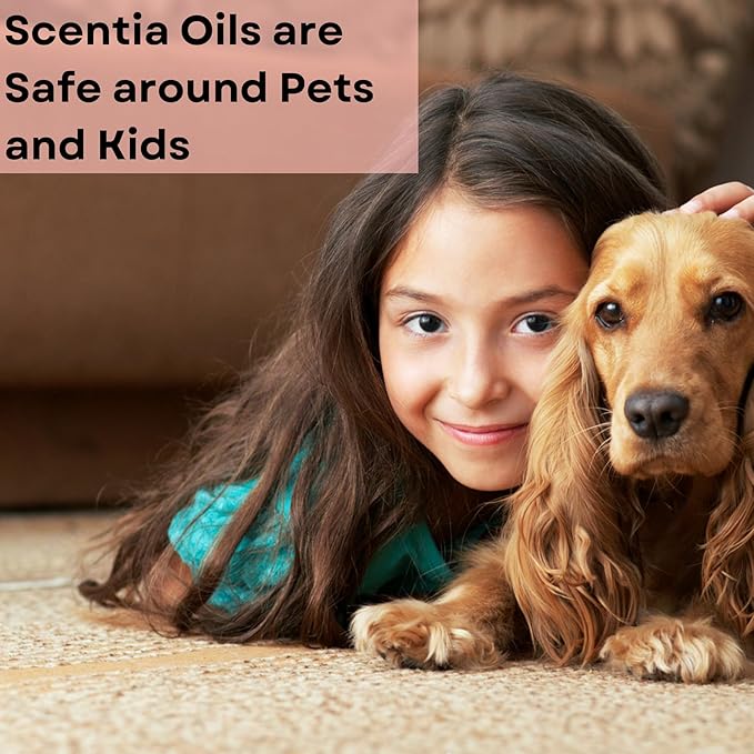 Gingerbread Bliss Fragrance Oil – 120ml Christmas Diffuser Oil | Cozy Holiday Blend with Nutmeg, Cinnamon & Vanilla | Aromatherapy for Home, Candles, Soaps & Holiday Décor | Made in USA