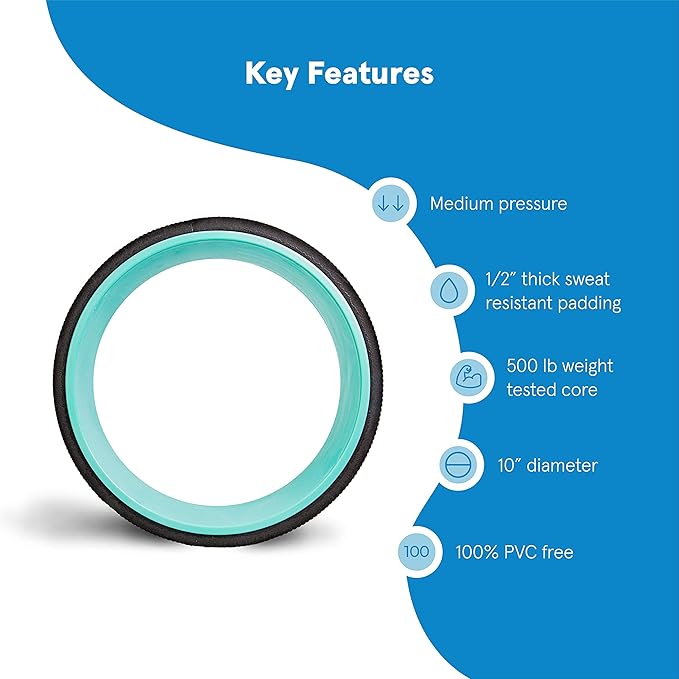 Chirp Wheel Foam Roller – Targeted Back & Neck Relief, Lumbar Spine Stretcher, Spinal Decompression Back Stretcher, Massage Roller with Density Foam for Physical Therapy, Supports 500lbs, 10-Inch Mint