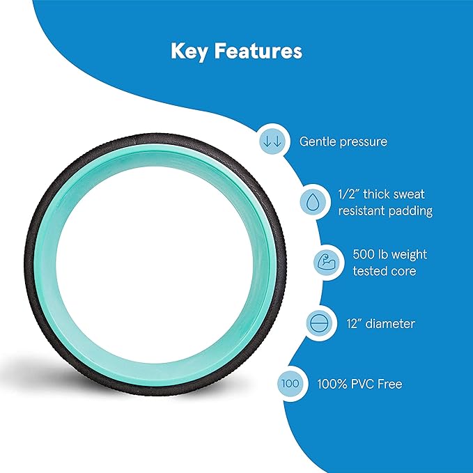 Chirp Wheel Foam Roller – Targeted Back & Neck Relief, Lumbar Spine Stretcher, Spinal Decompression Back Stretcher, Massage Roller with Density Foam for Physical Therapy, Supports 500lbs, 12-Inch Mint