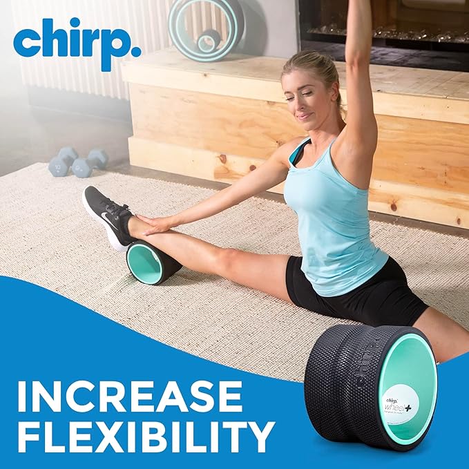 Chirp Wheel Foam Roller – Targeted Back & Neck Relief, Lumbar Spine Stretcher, Spinal Decompression Back Stretcher, Massage Roller with Density Foam for Physical Therapy, Supports 500lbs, 6-Inch Mint