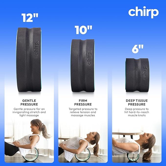 Chirp Wheel Foam Roller – Targeted Back & Neck Relief, Lumbar Spine Stretcher, Spinal Decompression Back Stretcher, Massage Roller with Density Foam for Physical Therapy, Supports 500lbs, 12-Inch Mint