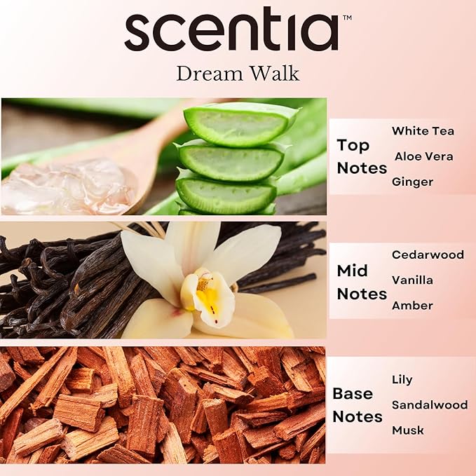 Scentia Hotel Diffuser Oil Inspired by The Hotel Scent - 20 ml 0.67 fl oz - Essential Oil Blend White Tea, Cedarwood & Amber Notes for Aromatherapy Diffusers and Humidifiers - Dream Walk