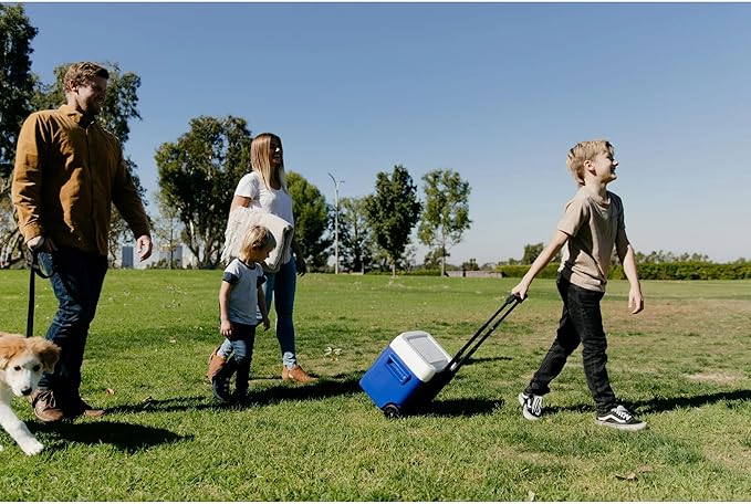 Igloos Cooler Hard-Sided Ice Chest, Insulated Portable Cooler, Heavy-Duty, Leak-Resistant Lid, Lightweight Ergonomic Handle