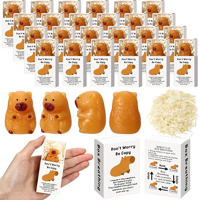 Wettarn 24 Sets Capybara Gifts Positive Stress Balls with Support Gift Boxes Inspirational Party Favors for Employee Coworker Friends Office Stress Relief Toys
