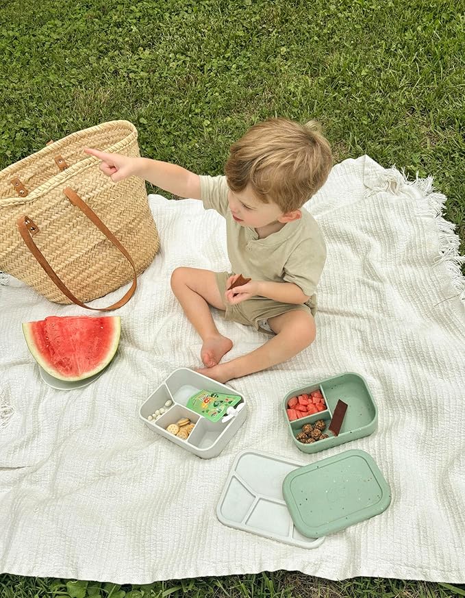 Leak Proof Bento Box Food-Grade Silicone Bento, BPA, Phthalate, Lead, & PVC Free - Bento Lunch Box for Daycare, Kids, & Adults - Leak Resistant Sets With Lids Snack Box Container (Grey 4)