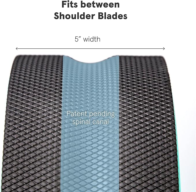 Chirp Wheel Foam Roller – Targeted Back & Neck Relief, Lumbar Spine Stretcher, Spinal Decompression Back Stretcher, Massage Roller with Density Foam for Physical Therapy, Supports 500lbs, 6-Inch Mint