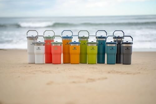 Stanley IceFlow Flip Straw Tumbler with Handle 20 oz | Twist On Lid and Flip Up Straw | Leak Resistant Water Bottle | Insulated Stainless Steel |BPA-Free | Charcoal