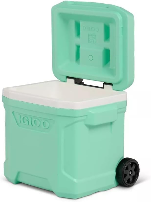 Igloos Cooler Hard-Sided Ice Chest, Insulated Portable Cooler, Heavy-Duty, Leak-Resistant Lid, Lightweight Ergonomic Handle