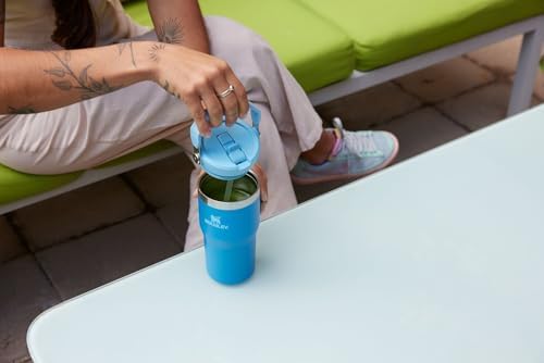 Stanley IceFlow 2.0 Flip Straw Tumbler with Handle 20 oz | Twist On Lid and Flip Up Straw | Leak Resistant Water Bottle | Insulated Stainless Steel | BPA-Free | Chili Red