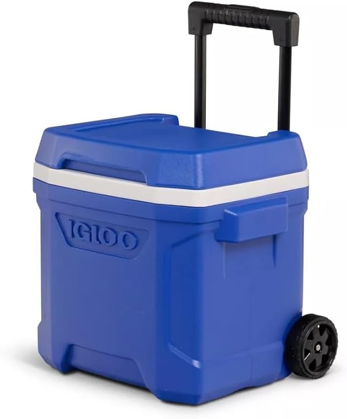 Igloos Cooler Hard-Sided Ice Chest, Insulated Portable Cooler, Heavy-Duty, Leak-Resistant Lid, Lightweight Ergonomic Handle