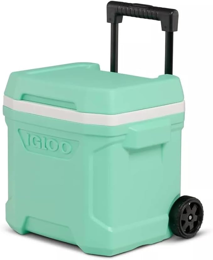 Igloos Cooler Hard-Sided Ice Chest, Insulated Portable Cooler, Heavy-Duty, Leak-Resistant Lid, Lightweight Ergonomic Handle