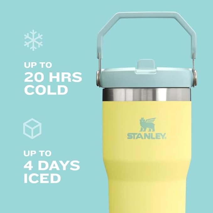 Stanley IceFlow Flip Straw Tumbler with Handle 30 oz | Twist On Lid and Flip Up Straw | Leak Resistant Water Bottle | Insulated Stainless Steel |BPA-Free | Tigerlily Plum