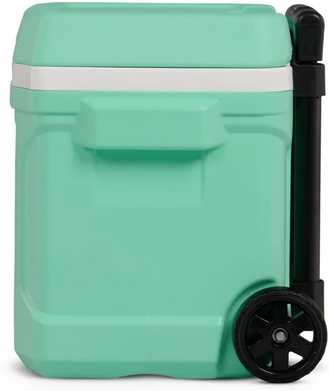 Igloos Cooler Hard-Sided Ice Chest, Insulated Portable Cooler, Heavy-Duty, Leak-Resistant Lid, Lightweight Ergonomic Handle