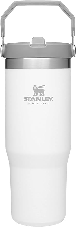 Stanley IceFlow Stainless Steel Tumbler with Straw - Vacuum Insulated Water Bottle for Home, Office or Car - Reusable Cup with Straw Leak Resistant Flip - Cold for 12 Hours or Iced for 2 Days (Polar)