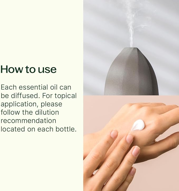 Plant Therapy Pumpkins & Porch Swings Fall Essential Oil Blend Set, Fill Your Home with Cozy, Fall-Inspired Aromas, Three Exclusive & Limited Blends, Cozy Comfort in Every Drop