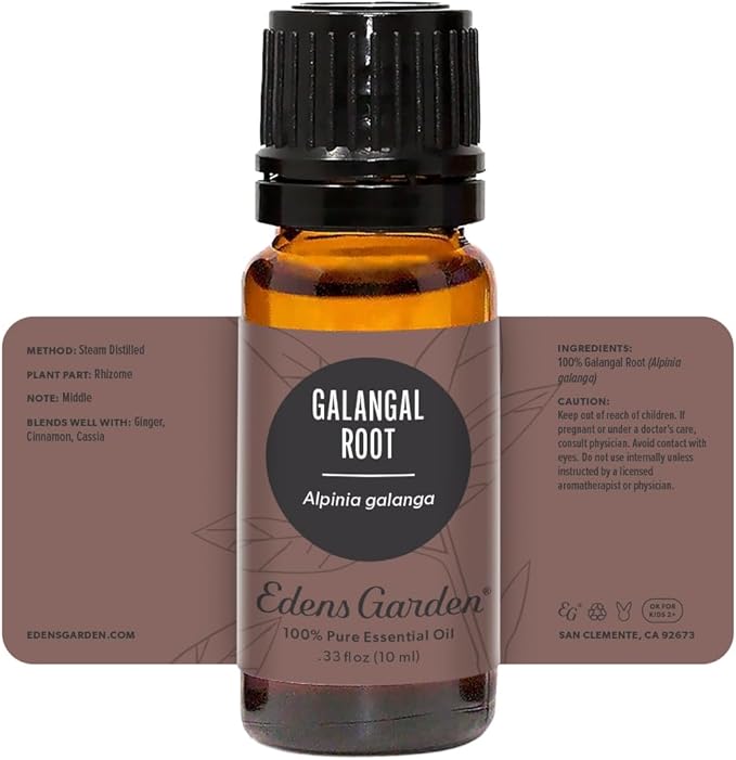 Edens Garden Galangal Root Essential Oil, 100% Pure Therapeutic Grade (Undiluted Natural/Homeopathic Aromatherapy Scented Essential Oil Singles) 10 ml